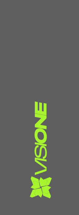 VisiOne 02